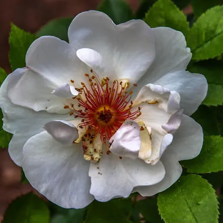 Chateau De - & Szálloda