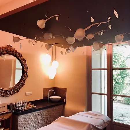 Otel Chateau De - & Siran (Herault)