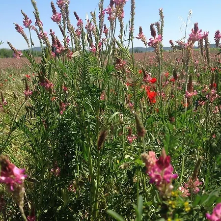 Szálloda Chateau De - & 4*