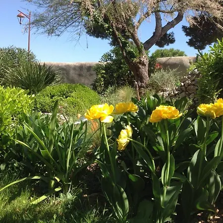 Hotel Chateau De - & Siran (Herault)
