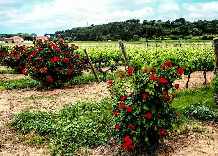 ホテル Chateau De - & Siran