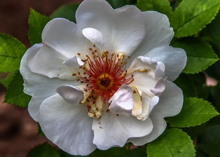 Château De - Hôtel&spa Hotel