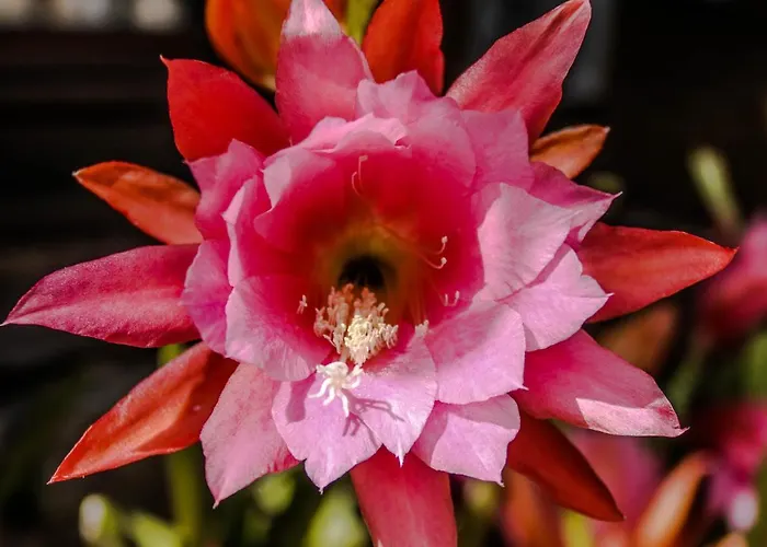 Hotel Château De - Hôtel&spa 4*