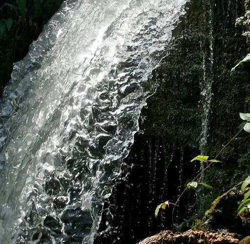 Château De - Hôtel&spa Hotel