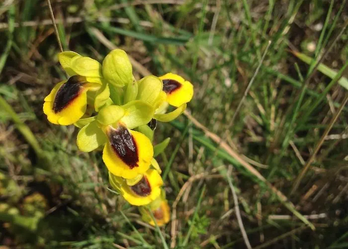 Château De - Hôtel&spa 4* Siran (Herault)