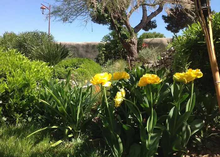 Hotel Château De - Hôtel&spa Siran (Herault)